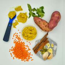 Load image into Gallery viewer, Masala fish and coriander dhal 100g - 7-9 months
